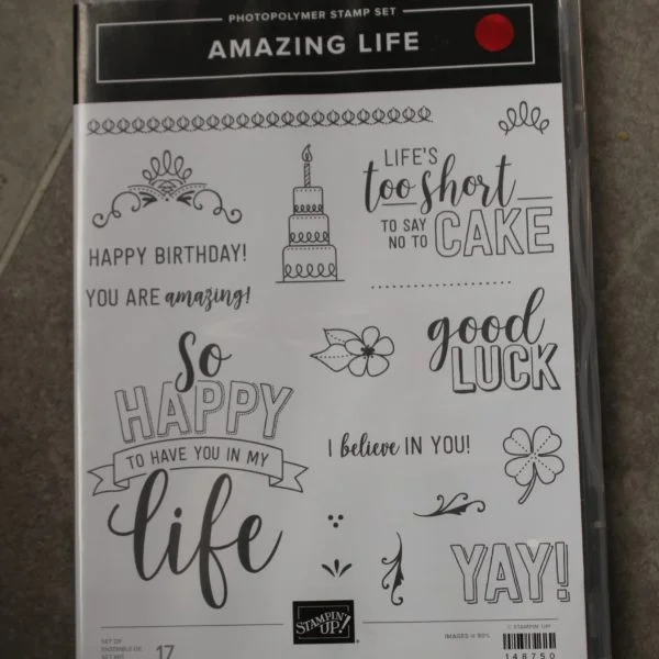 Amazing Life Stamp set