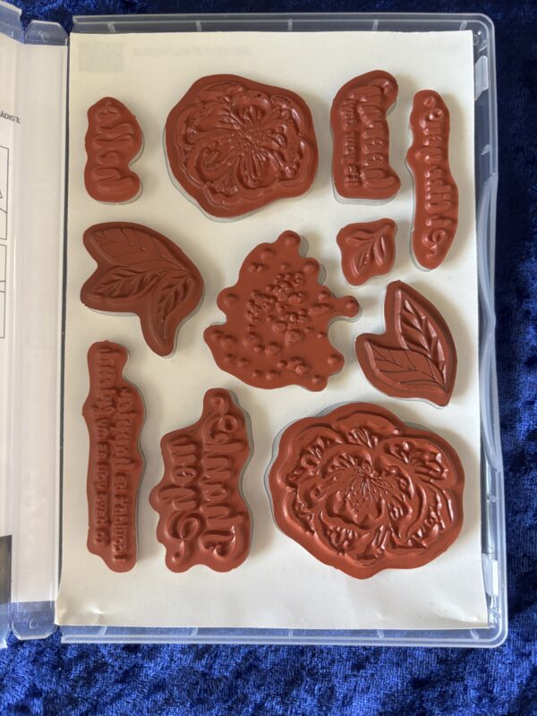 Irrisistable Blooms Stamp and Die set - Image 3